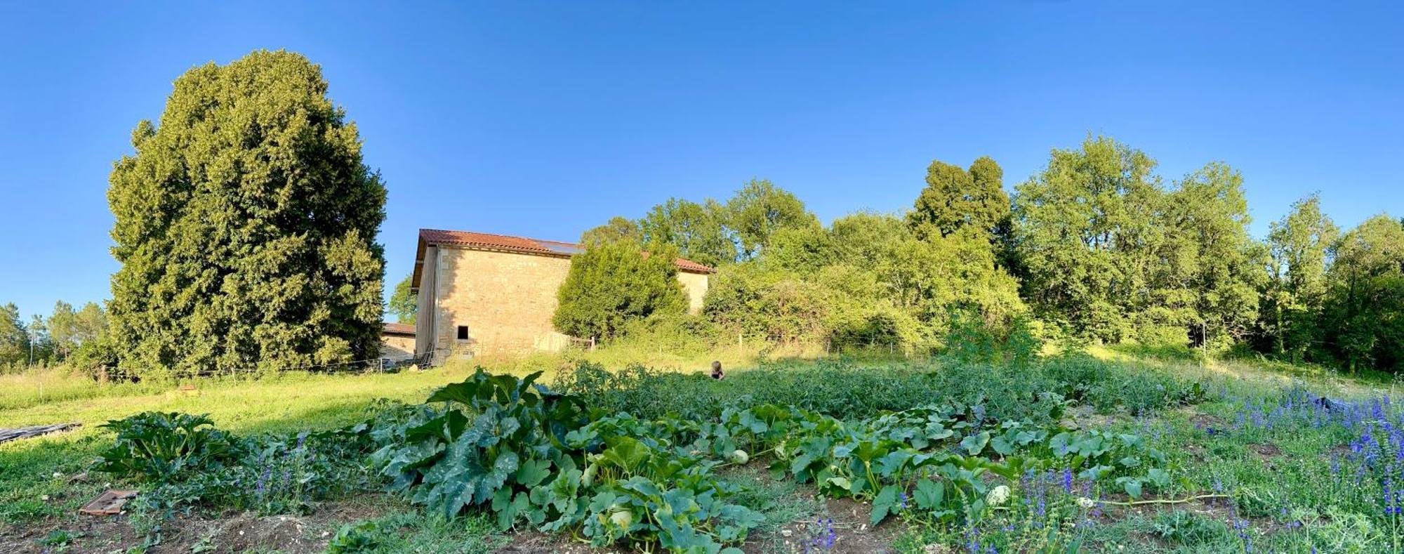 Ferme Gite Le Coeur Des Petits Chenes Saint-Pierre-de-Côle Εξωτερικό φωτογραφία