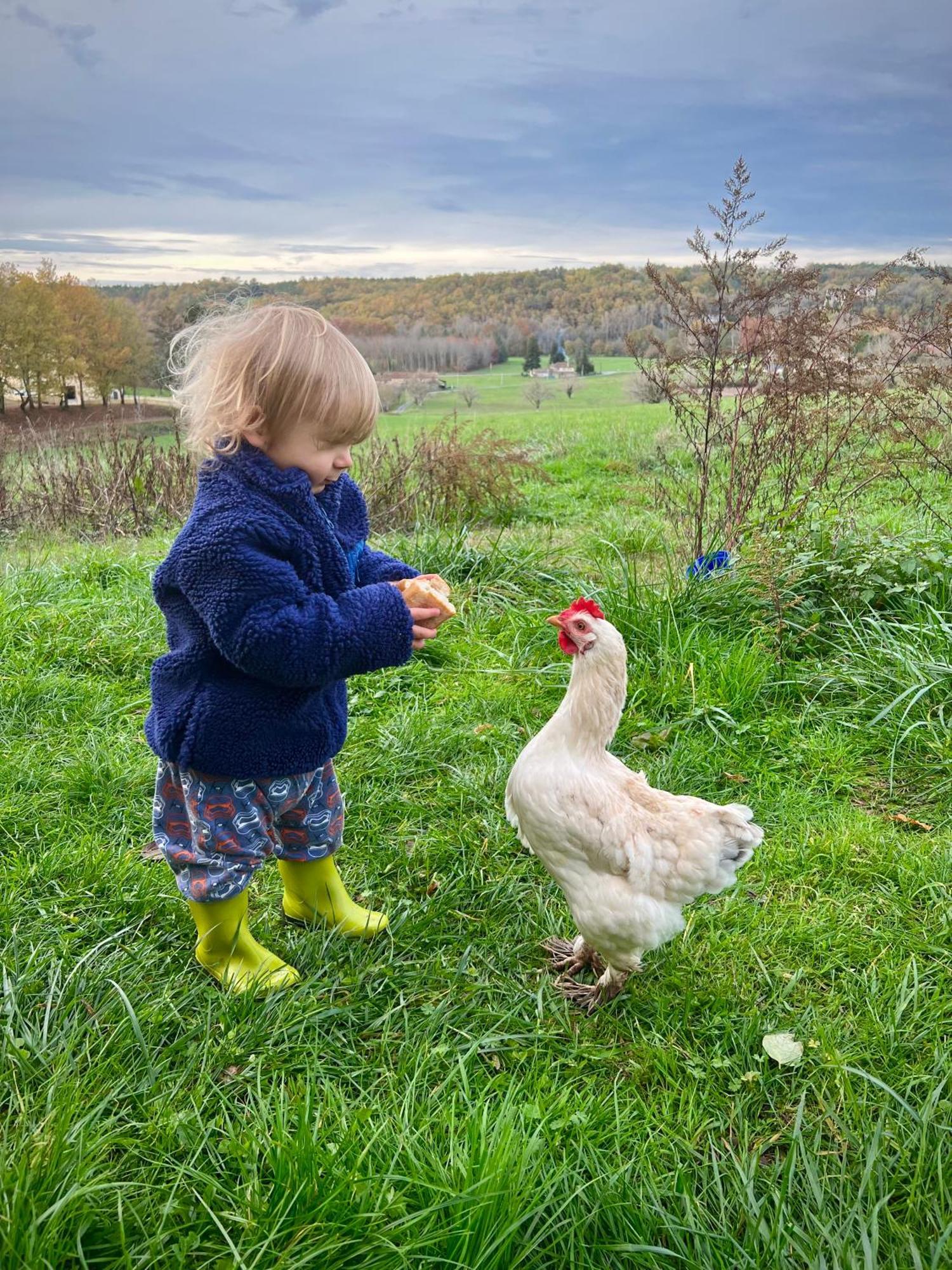 Ferme Gite Le Coeur Des Petits Chenes Saint-Pierre-de-Côle Εξωτερικό φωτογραφία