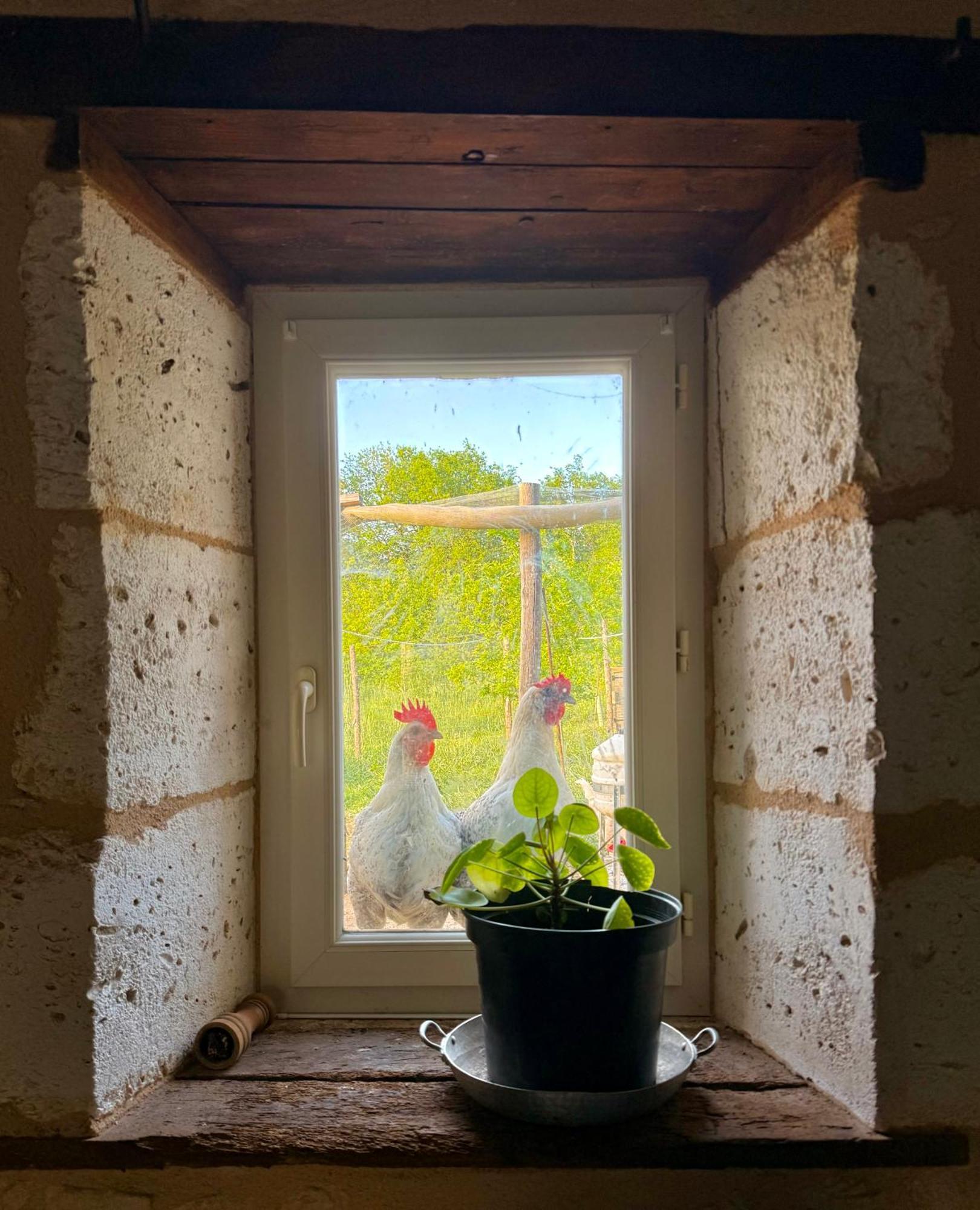 Ferme Gite Le Coeur Des Petits Chenes Saint-Pierre-de-Côle Εξωτερικό φωτογραφία